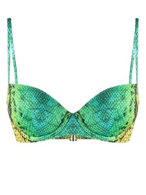 Noire Swimwear snakeskin-print bikini top - Green
