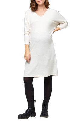 Nom Maternity Quinn Maternity Dress in Oatmeal Hacci