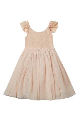 NORALEE Kids' Camilla Lace & Tulle Dress in Antique