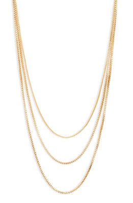 Nordstrom 3-Tier Layered Necklace in Gold