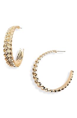 Nordstrom Braided Hoop Earrings in Gold
