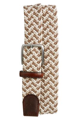 Nordstrom Braided Stretch Belt in Tan Combo