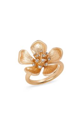 Nordstrom Crystal Flower Ring in Clear- Gold