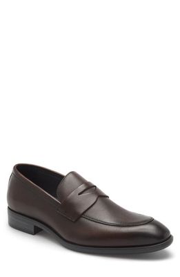 Nordstrom Dino Penny Loafer in Brown Espresso