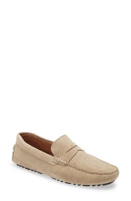 Nordstrom Driving Penny Loafer in Sand Suede