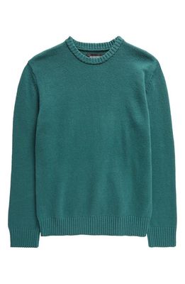 Nordstrom Kids' Core Pullover Sweater in Green Bug