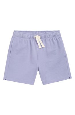 Nordstrom Kids' Everyday Knit Shorts in Purple Perfume