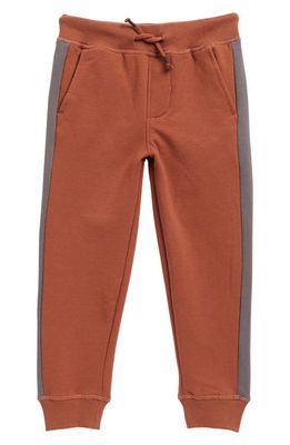 Nordstrom Kids' Joggers in Brown Patina- Grey