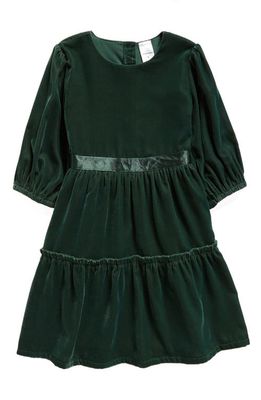 Nordstrom Kids' Velvet Dress in Green Pinecone