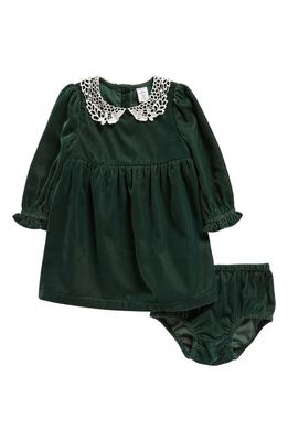 Nordstrom Lace Collar Long Sleeve Velvet Dress & Bloomers Set in Green Pinecone