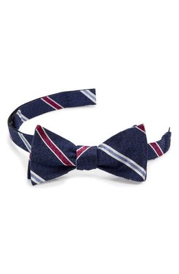 Nordstrom Neil Stripe Silk Bow Tie in Blue Fuchsia