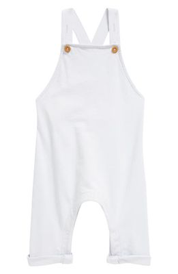 Nordstrom Organic Cotton Overalls in Blue Ice