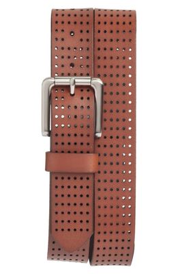 Nordstrom Perforated Leather Dress Belt in Brown