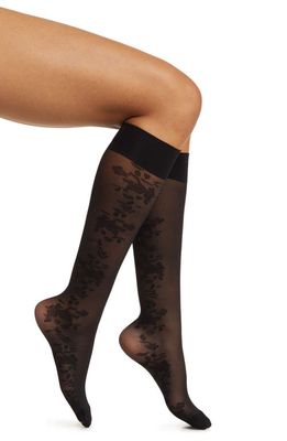 Nordstrom Sheer Floral Lace Knee High Socks in Black