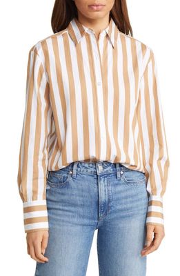 Nordstrom Signature Stripe Cotton Poplin Shirt in Tan Tannin- White Stripe