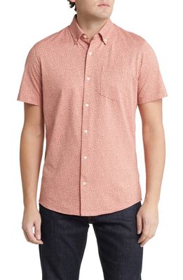 Nordstrom Tech-Smart Trim Fit Floral Short Sleeve Button-Down Shirt in Pink Melba Daisy Stamp