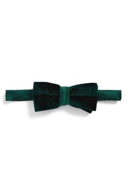 Nordstrom Velvet Tie in Green Pinecone