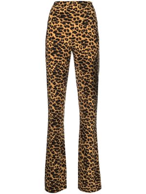 Norma Kamali leopard-print flared trousers - Brown