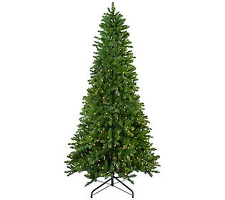 Northlight 10' Everett Pine Slim Christmas Tree Clear Lights