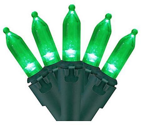 Northlight 100ct 33' Green LED Mini Christmas L ights