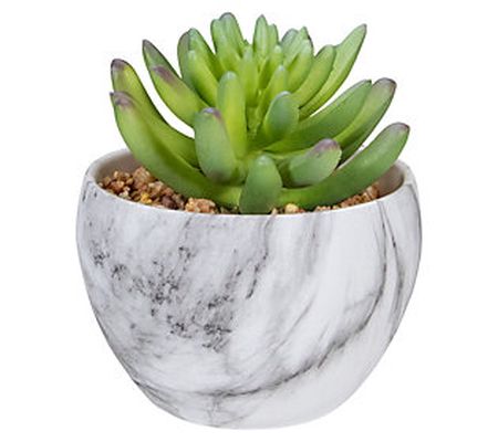 Northlight 4.25" Artificial Succulent in Faux M arble Pot