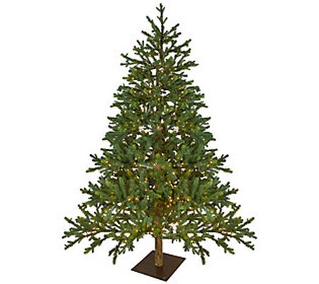 Northlight 6.5' Full North Pine Faux Tree - Cle ar LED Lights