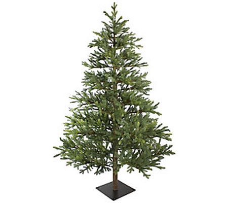 Northlight 6.5' North Pine Artificial Christmas Tree - Unlit