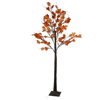 Northlight 6' LED Lighted Autumn Harvest Maple eaf Tree