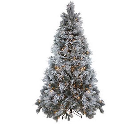 Northlight 7.5' LED Black Spruce Artificial Tre e Clear Lights