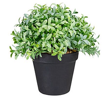 Northlight 7.5" Potted Green Artificial Boxwood Plant