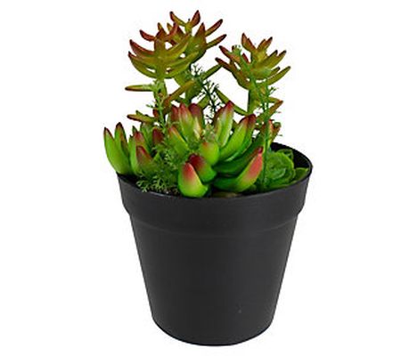 Northlight 8" Artificial Mixed Succulent Plant Arrangement