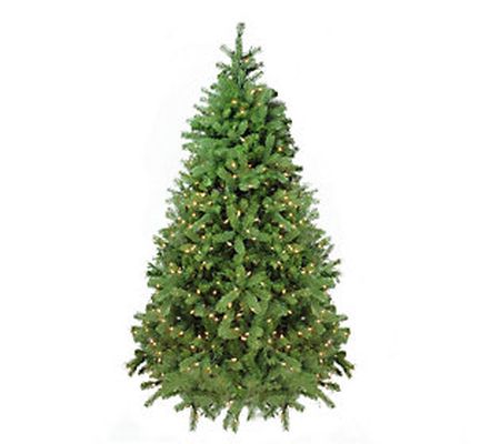 Northlight Pre-Lit Noble Fir Full Artificial Ch ristmas Tree