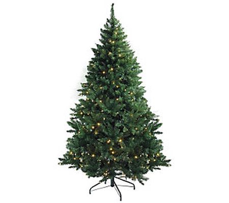 Northlight Prelit Buffalo Fir Medium Christmas Tree