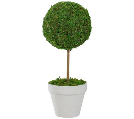 Northlight Reindeer Moss Potted Artificial Spri ng Topiary Tree