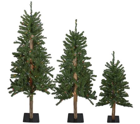 Northlight Set of 3 Prelit Slim Alpine Christma Trees