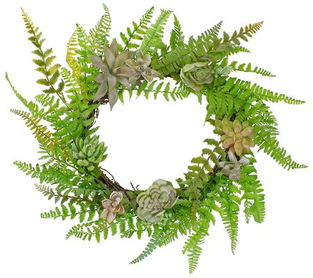 Northlight Succulents and Foliage Artificial Tw ig Wreath Green