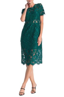 NSR Lace Short Sleeve Midi Dress in Emerald