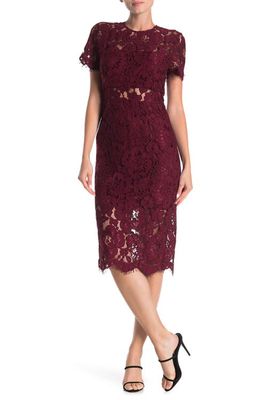 NSR Lace Short Sleeve Midi Dress in Wine