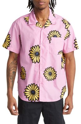 Obey Daisy Blossoms Floral Short Sleeve Button-Up Camp Shirt in Wild Rose Multi