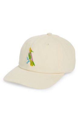 Obey Jaunt Embroidered Baseball Cap in Unbleached