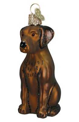Old World Christmas Chocolate Labrador Glass Ornament in Brown