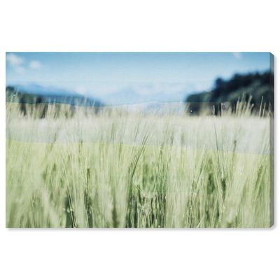 Oliver Gal Floral and Botanical 'Fields of Green' Gardens Wall Art in Greenish 45 x