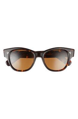 Oliver Peoples Eadie 51mm Polarized Pillow Sunglasses in Brown Tort