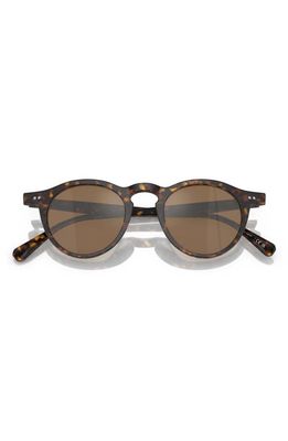 Oliver Peoples OP-13 47mm Round Sunglasses in Tortoise