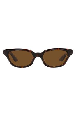 Oliver Peoples x KHAITE 1983C 52mm Irregular Sunglasses in Dark Tortoise