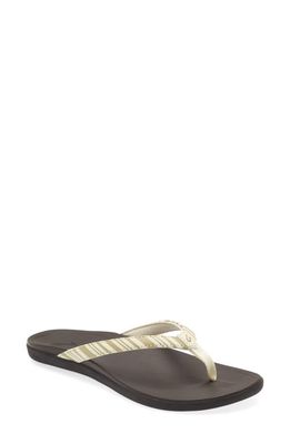 OluKai Ho Opio Flip Flop in Clay /Stripe