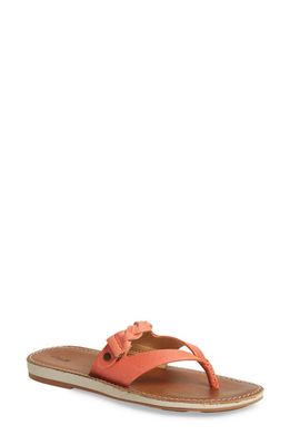 OluKai Kahikolu Flip Flop in Peach/Tan Leather