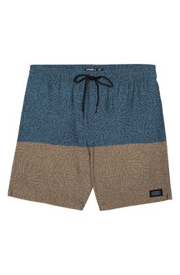 O'Neill Hermosa Board Shorts in Brown 2