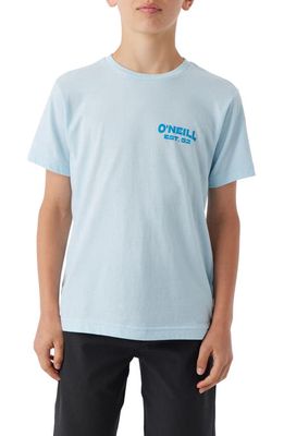 O'Neill Kids' Blender Cotton Graphic T-Shirt in Sky Blue Heather