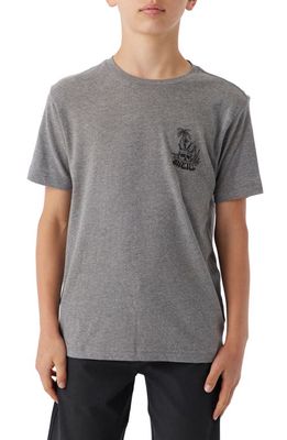 O'Neill Kids' Bobber Graphic T-Shirt in Heather Grey